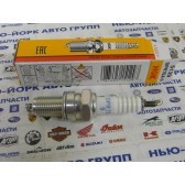 PU NGK SPARK PLUG